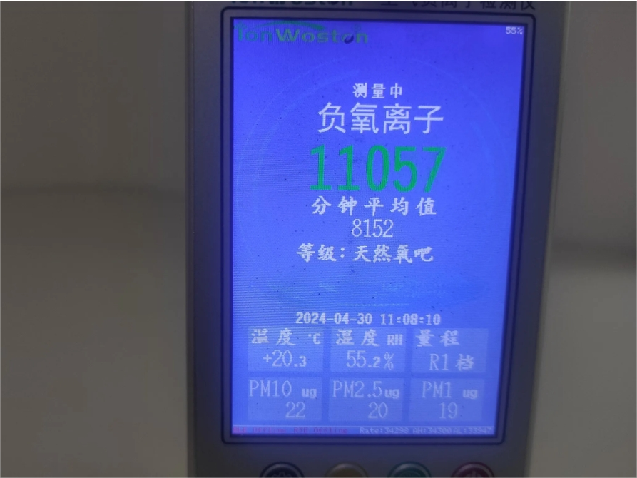 負(fù)氧離子檢測(cè).png