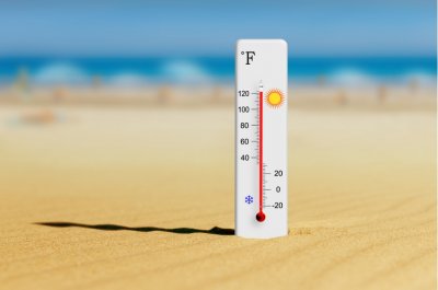 夏季太熱，不如把森林搬回家！