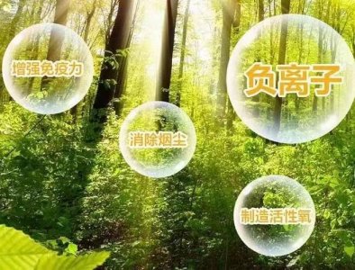 納米、改性、分子橋等，負(fù)氧離子生態(tài)液